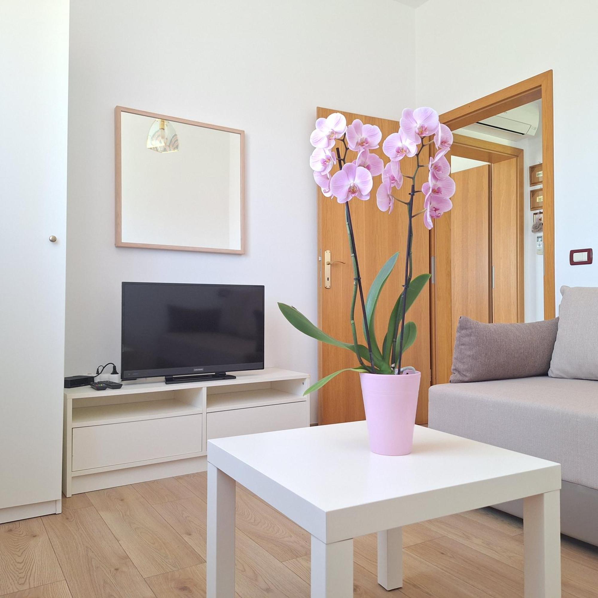 Apartment Mita Grožnjan Εξωτερικό φωτογραφία
