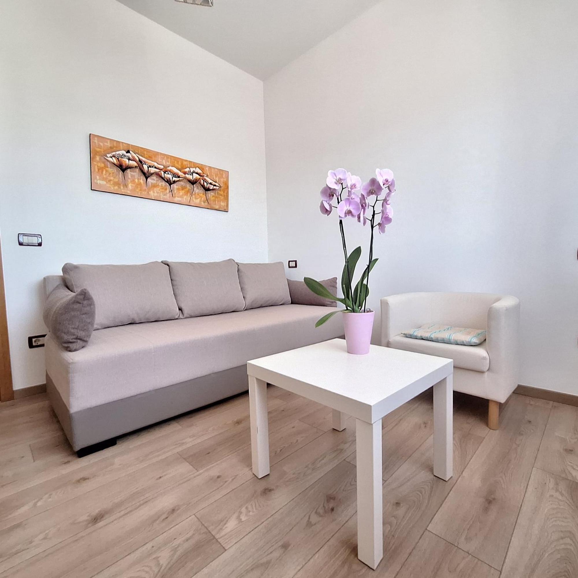 Apartment Mita Grožnjan Εξωτερικό φωτογραφία